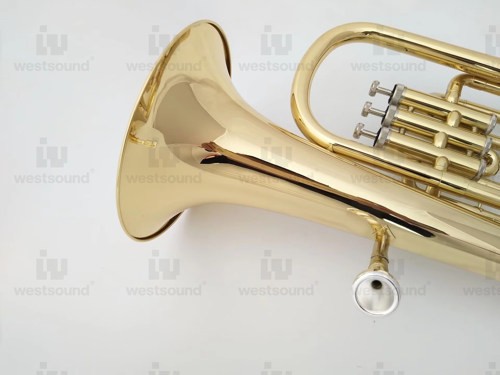 Eufônio Barítono em Afinação B - Musical Instrument Euphonium avaliação e preço
