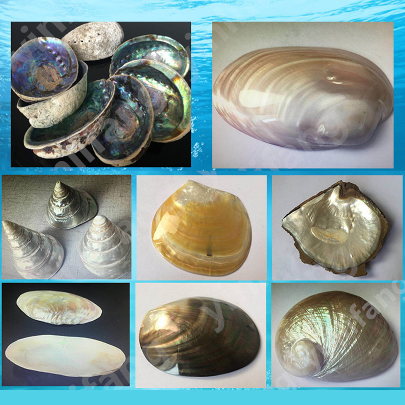 Papel de Abalone para Incrusta - Musical Instrument Jewelry avaliação e preço