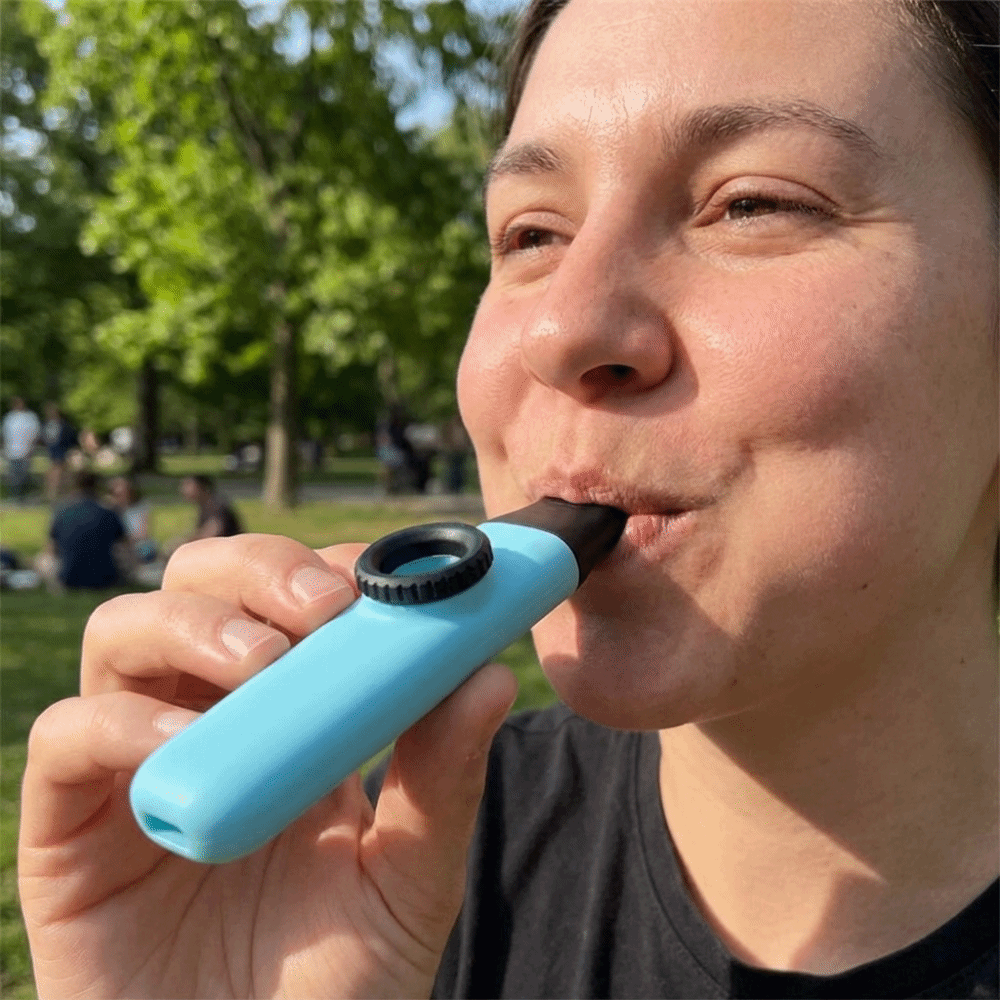 Flauta Kazoo Mini Portátil e D - Musical Instrument Easy To Learn For Adults avaliação e preço