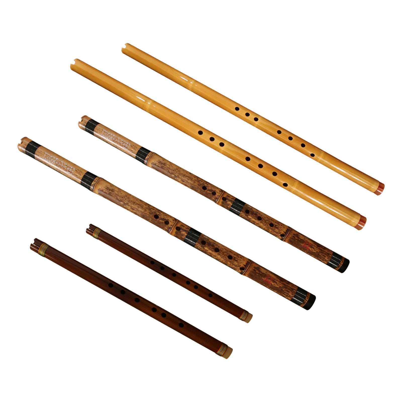 Flauta Clássica Instrumento Mu - Musical Instrument Easy To Learn For Adults avaliação e preço