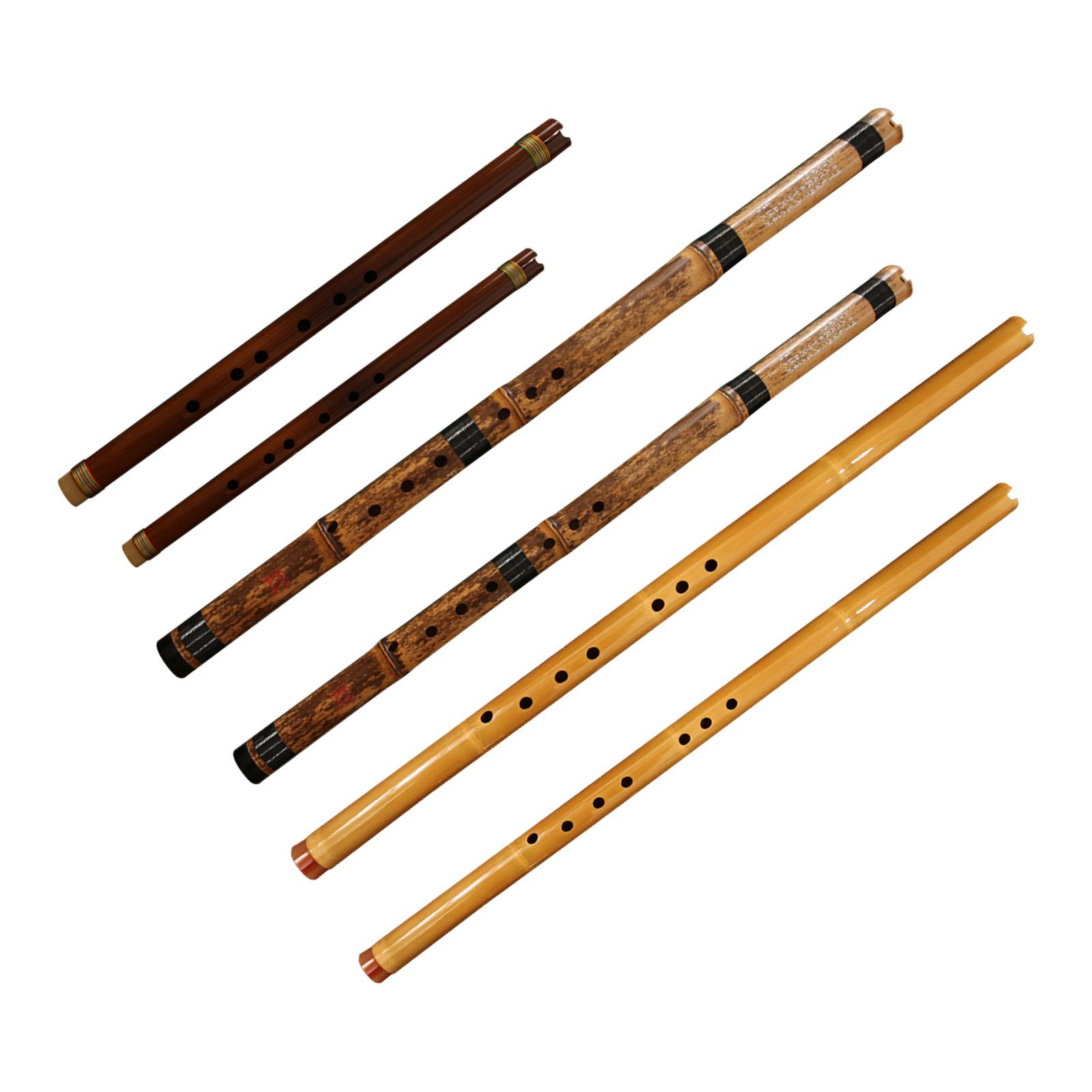 Flauta Clássica Instrumento Mu - Musical Instrument Easy To Learn For Adults avaliação e preço