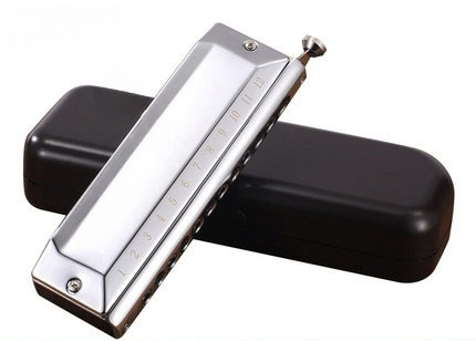 Gaita de boca semicromática, c - Musical Instrument Easy To Learn For Adults avaliação e preço